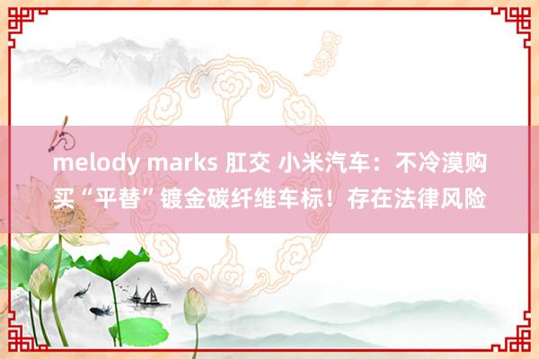 melody marks 肛交 小米汽车：不冷漠购买“平替”镀金碳纤维车标！存在法律风险