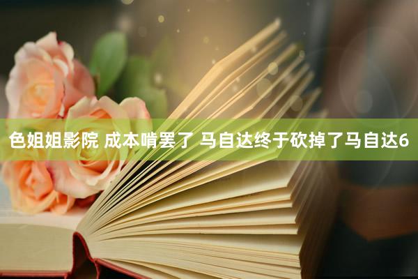 色姐姐影院 成本啃罢了 马自达终于砍掉了马自达6