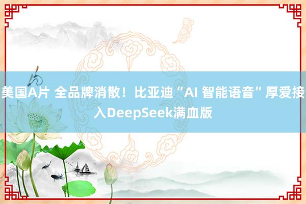 美国A片 全品牌消散！比亚迪“AI 智能语音”厚爱接入DeepSeek满血版