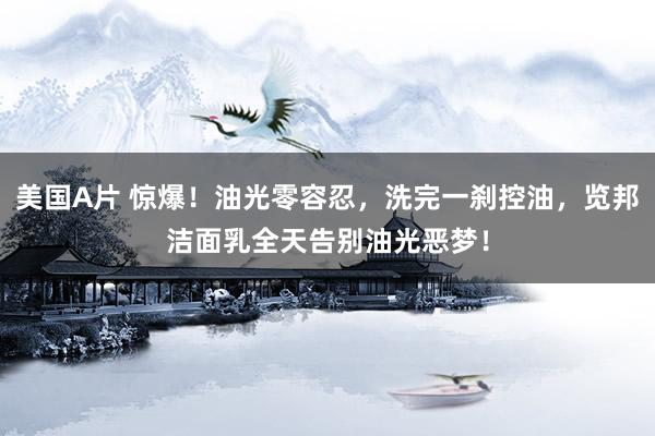美国A片 惊爆！油光零容忍，洗完一刹控油，览邦洁面乳全天告别油光恶梦！