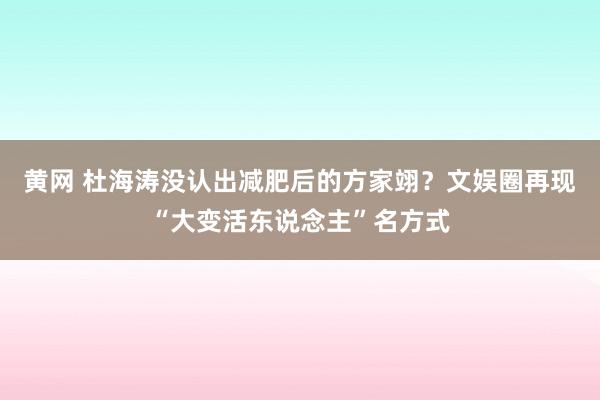 黄网 杜海涛没认出减肥后的方家翊？文娱圈再现“大变活东说念主”名方式