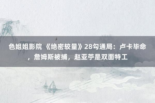 色姐姐影院 《绝密较量》28勾通局：卢卡毕命，詹姆斯被捕，赵亚苧是双面特工