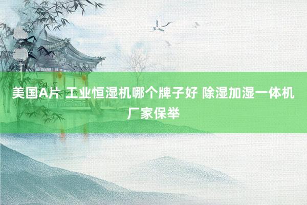 美国A片 工业恒湿机哪个牌子好 除湿加湿一体机厂家保举