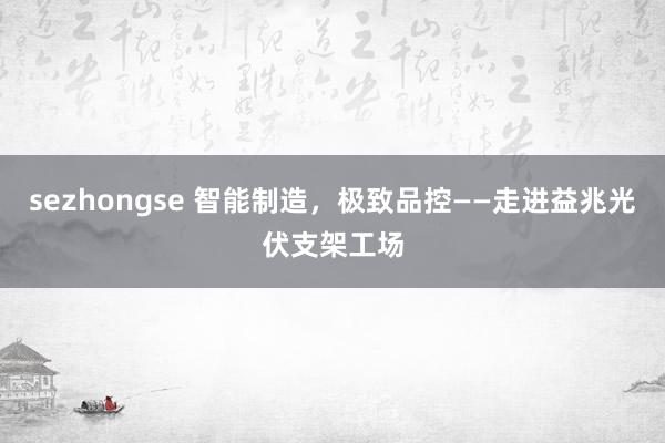 sezhongse 智能制造，极致品控——走进益兆光伏支架工场