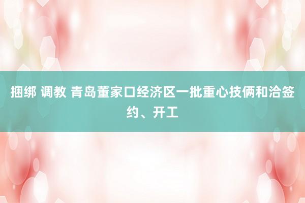 捆绑 调教 青岛董家口经济区一批重心技俩和洽签约、开工