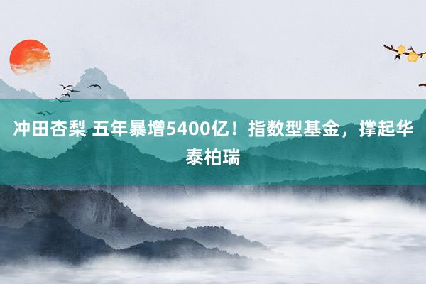 冲田杏梨 五年暴增5400亿！指数型基金，撑起华泰柏瑞
