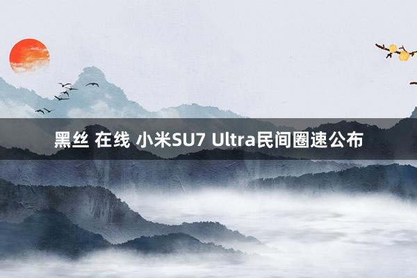 黑丝 在线 小米SU7 Ultra民间圈速公布