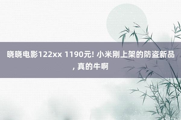 晓晓电影122xx 1190元! 小米刚上架的防盗新品， 真的牛啊
