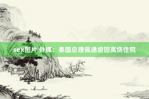 sex图片 外媒：泰国总理佩通坦因高烧住院