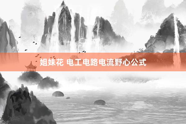 姐妹花 电工电路电流野心公式