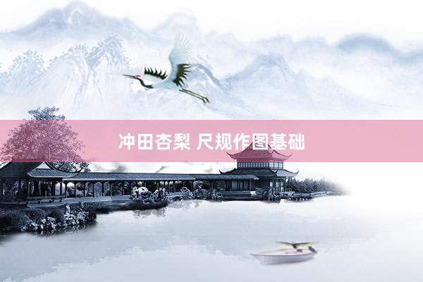 冲田杏梨 尺规作图基础