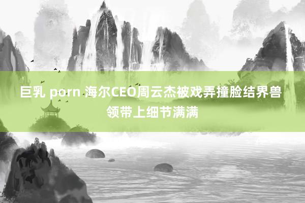 巨乳 porn 海尔CEO周云杰被戏弄撞脸结界兽 领带上细节满满
