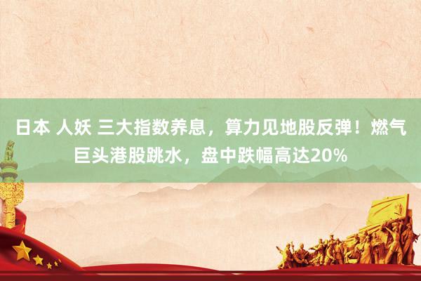 日本 人妖 三大指数养息，算力见地股反弹！燃气巨头港股跳水，盘中跌幅高达20%